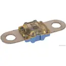 HERTH+BUSS ELPARTS 50295863 Sicherung 100A blau