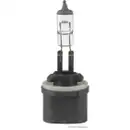 Glühlampe Herth+buss Elparts 89901301