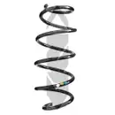 2x Spidan Fahrwerksfeder 86355 Vorderachse Skoda Octavia II VW Golf Jetta Eos