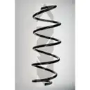 2x Spidan Fahrwerksfeder 85176 Vorderachse Mercedes A-Klasse B-Klasse