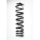 SPIDAN 55752 Fahrwerksfeder