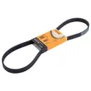 CONTINENTAL CTAM 6PK1084 Keilrippenriemen