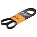 CONTINENTAL CTAM 5PK1290 Keilrippenriemen