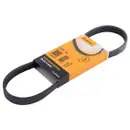 CONTINENTAL CTAM 5PK725 Keilrippenriemen