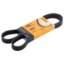 CONTINENTAL CTAM 6PK1250 Keilrippenriemen