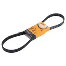 CONTINENTAL CTAM 6PK1054 Keilrippenriemen
