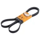 CONTINENTAL CTAM 6PK1795 Keilrippenriemen