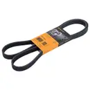 CONTINENTAL CTAM 6PK1635 Keilrippenriemen