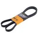 CONTINENTAL CTAM 6PK1693 Keilrippenriemen