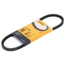 CONTINENTAL CTAM AVX10X666 Keilriemen