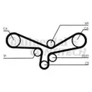 CONTINENTAL CTAM CT920K1 Zahnriemen Kit