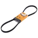CONTINENTAL CTAM 5PK1150 Keilrippenriemen