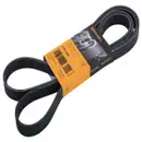 CONTINENTAL CTAM 6PK2498 Keilrippenriemen