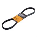 CONTINENTAL CTAM 6PK1019 ELAST Keilrippenriemen