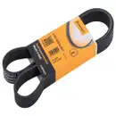 CONTINENTAL CTAM 6PK1249 ELAST Keilrippenriemen
