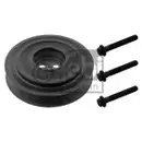 FEBI BILSTEIN 33679 Riemenscheibe (entkoppelt) für FORD