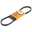 CONTINENTAL CTAM 4PK775 Keilrippenriemen