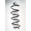 2x Spidan Fahrwerksfeder 85004 Vorderachse Citroen C2