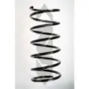 2x Spidan Fahrwerksfeder 55160 vorn Citroen Berlingo Xsara Peugeot Partner