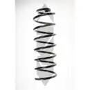 2x Spidan Fahrwerksfeder 49256 Hinterachse Opel Vectra B und Vectra B CC