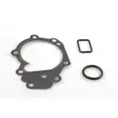Wasserpumpe Motorkühlung Gk 986954S für Nissan für Renault für Dacia