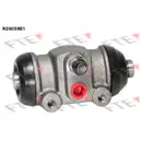 FTE R25039B1 Radzylinder