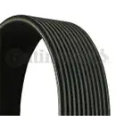 CONTINENTAL CTAM 11PK2835 Keilrippenriemen