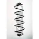 2x Spidan Fahrwerksfeder Hinterachse Citroen C3 I