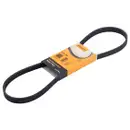 CONTINENTAL CTAM 5PK1000 Keilrippenriemen