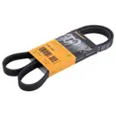 CONTINENTAL CTAM 5PK1240 Keilrippenriemen