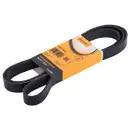 CONTINENTAL CTAM 7PK2035 Keilrippenriemen