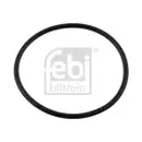 Dichtring Hydraulikfilter Febi Bilstein 08937 für Bmw
