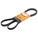 CONTINENTAL CTAM 5PK1646 Keilrippenriemen