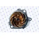 GK 985255 Wasserpumpe