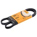CONTINENTAL CTAM 4PK1070 Keilrippenriemen