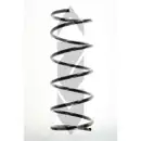2x Spidan Fahrwerksfeder 49322 Vorderachse Ford Ka
