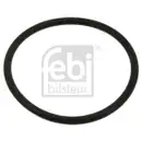 Dichtung Kühlmittelflansch Febi Bilstein 18774 für Seat für VW