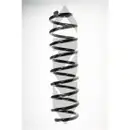 2x Spidan Fahrwerksfeder 56173 Hinterachse Renault Megane II Grandtour