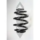 2x Spidan Fahrwerksfeder 55085 Hinterachse BMW 3er E46