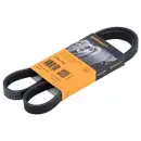 CONTINENTAL CTAM 5PK1135 Keilrippenriemen