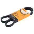 CONTINENTAL CTAM 5PK1155 Keilrippenriemen