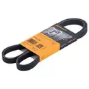 CONTINENTAL CTAM 5PK1190 Keilrippenriemen