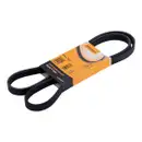 CONTINENTAL CTAM 5PK1432 Keilrippenriemen