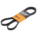 CONTINENTAL CTAM 5PK1515 Keilrippenriemen