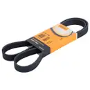 CONTINENTAL CTAM 6PK1360 Keilrippenriemen