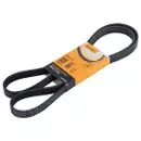CONTINENTAL CTAM 6PK1725 Keilrippenriemen