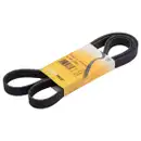 CONTINENTAL CTAM 6PK2060 Keilrippenriemen
