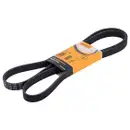 CONTINENTAL CTAM 6PK1767 Keilrippenriemen