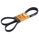 CONTINENTAL CTAM 6PK1880 Keilrippenriemen