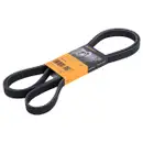 CONTINENTAL CTAM 6PK2241 Keilrippenriemen